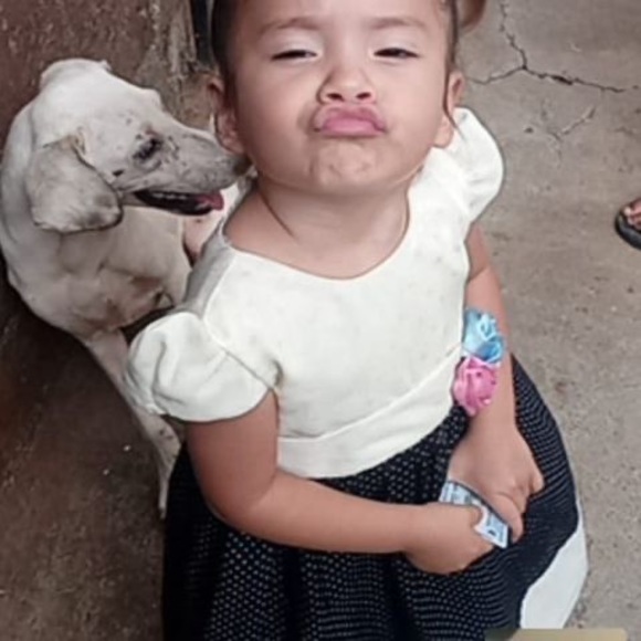 Meet your Posher, Ronald - Picture 1 of 1